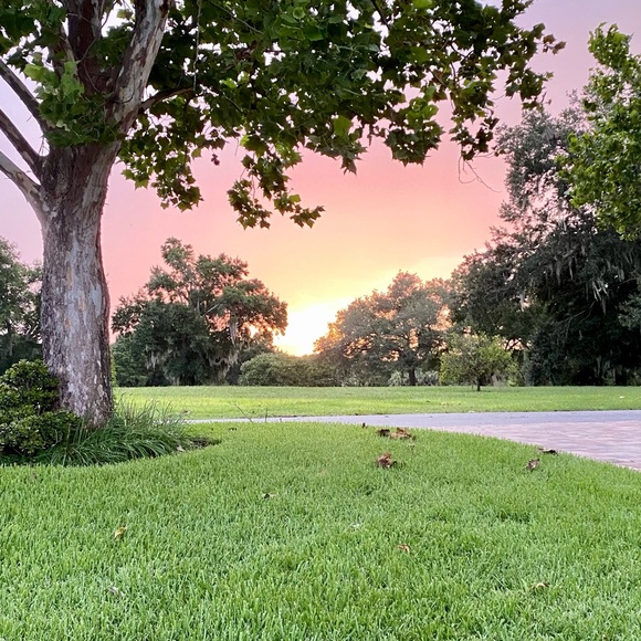 Meet your Posher, Taylor - Picture 3 of 6